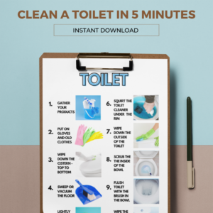 Toilet cleaning